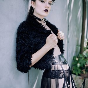 puma.sly in the backyard