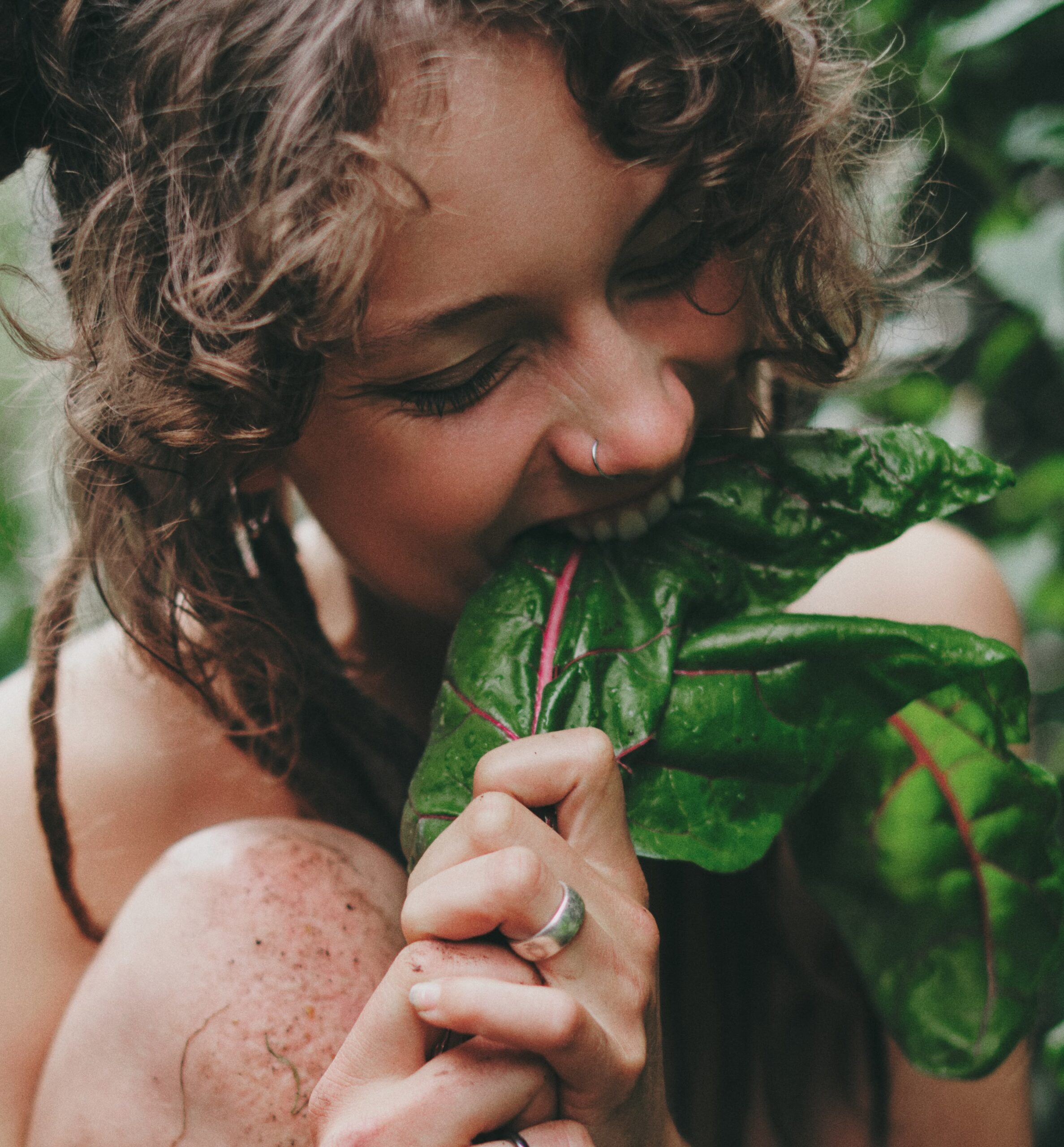 Leona Mangold / Swiss Chard—The Cultivated Wild